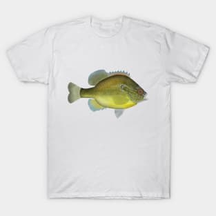 Dollar Sunfish T-Shirt